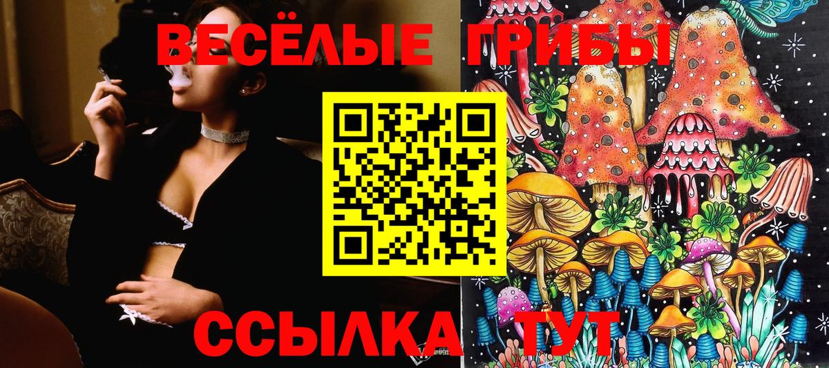 Псилоцибиновые грибы Cubensis Орёл