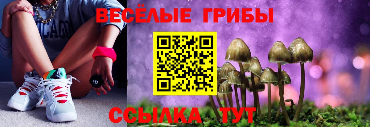 Псилоцибиновые грибы MAGIC MUSHROOMS  Вход с VPN  где найти   Орёл 