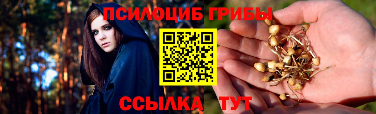 ГАШ Орёл